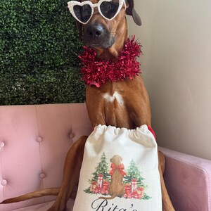 May include: A brown dog wearing heart-shaped sunglasses and a red tinsel garland. The dog is holding a cream-coloured gift bag with a Christmas design featuring a dog, Christmas trees, and the text "Rita's CHRISTMAS PRESENTS."