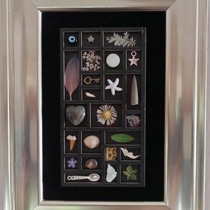 May include: A framed shadow box with a silver frame, containing a grid of small compartments. Each compartment holds a different natural item, including a feather, a key, a seashell, a starfish, and a flower. The background is black.