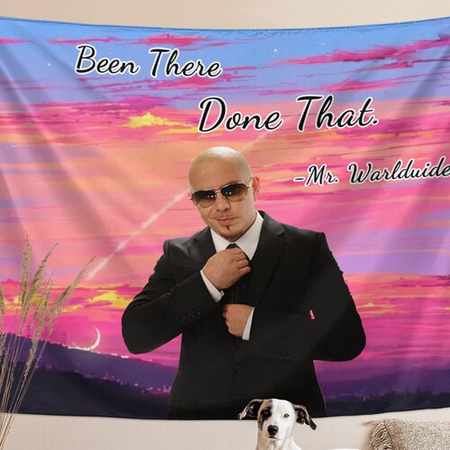 Meme Tapestry Funny Tapestries Wall Hanging Backdrop Party Etsy