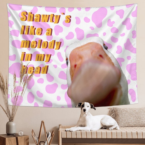 Shawty Like A Melody Meme Tapestry Wall Hanging Y2k Aesthetic Room