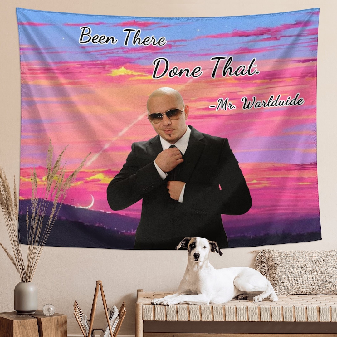 Funny Tapestries Mr 305 Tapestry Meme Tapestry Wall Hanging Poster for