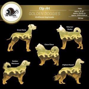 Clipart-honden in goud. Goudfolie hondensilhouetten, 10 rassen, overlays, PNG, afbeeldingen voor commercieel gebruik, digitale download, luxe hondenbundel.