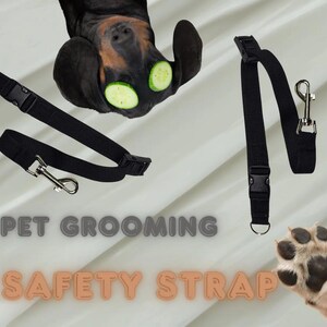 Professional Grooming Safety Loop- Quick Release- Black