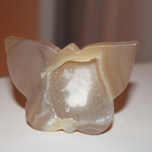 Butterfly Agate Crystal Carving - Healing Crystals - Butterflies - New Beginnings - Home Decor - Aesthetic Gifts - Drusy Druzy!