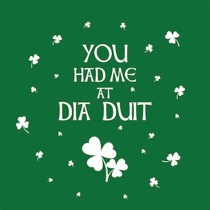 Ierse liefdeskaart "You Had Me At Dia Duit" klaverontwerp Vierkante wenskaart 15 cm Ierse taal Romantiek Keltisch Ierland