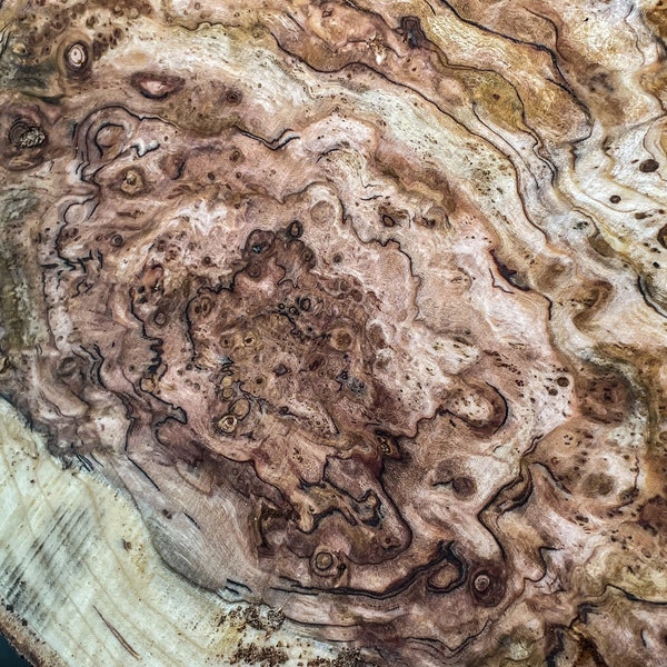 Cherry Burl Wood Cutoffs For Stabilization, Resin & Epoxy Casting | SMALL USPS Flat Rate Box | Highly Figured Burl | Live Edge Wooden Blanks