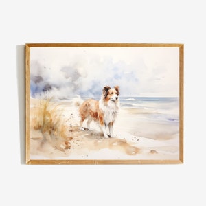 Red Merle Border Collie on Sandy Beach - wall art print