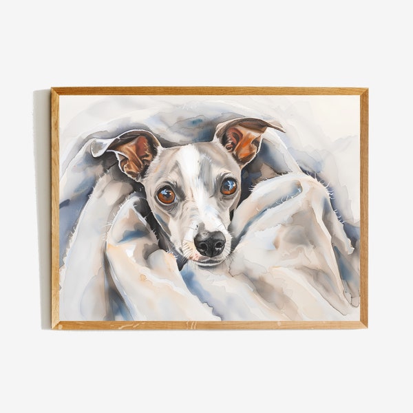 Italian Greyhound Wrapped Up In Blanket - cute wall art print