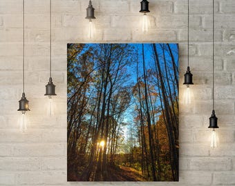 Impression sur toile, art mural ébats d'automne dans la forêt, feuilles d'automne, scène boisée, cadeau pour amoureux de la nature, décoration de bureau à domicile, mat
