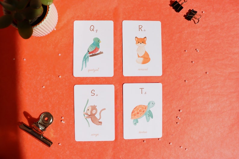 Cartes apprentissage de l'alphabet, abécédaire sur le thème des animaux illustrés image 7