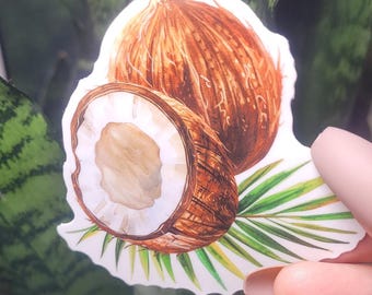 Calcomanía de árbol de coco, cocos, carrera presidencial 2024, calcomanía de Kamala Harris, calcomanía de palmera de coco, calcomanía de Kamala Harris, calcomanía feminista