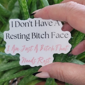 Funny and Sarcastic Sticker: Perfect Witty Bitch Quote for Coworker, Best Friend, Mom, Nurse, Attitude Gift