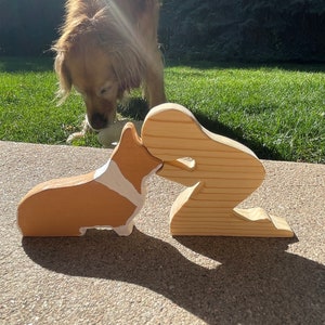 Human & Sitting Corgi Dog - Companion Figures. Free customization, free personalization
