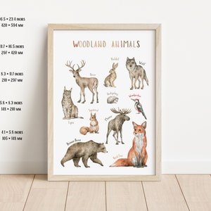 Cartel de animales del bosque / Cartel educativo / Cartel Montessori / Arte de la pared de la sala de juegos / Vivero del bosque / Descarga digital imagen 4