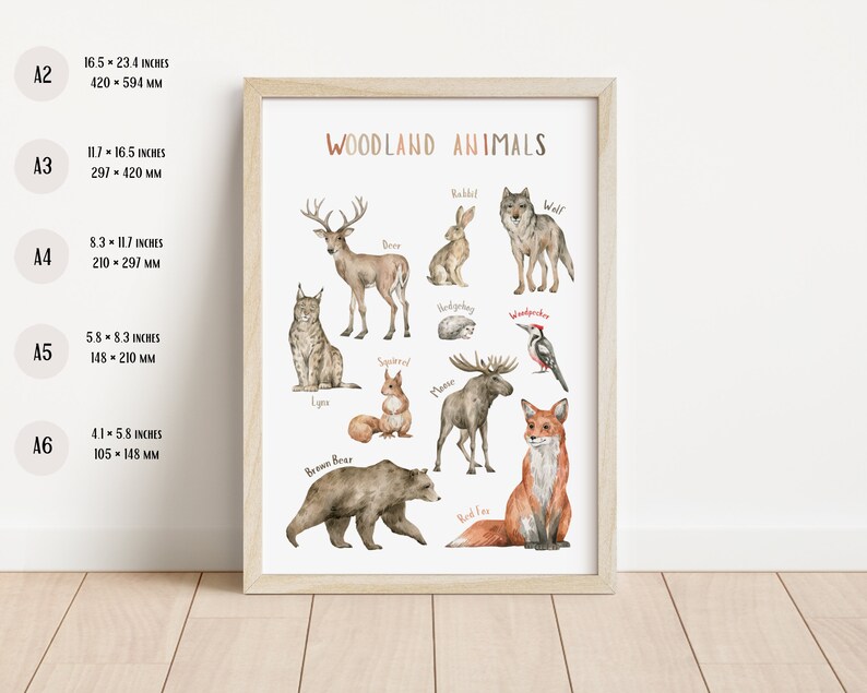 Cartel de animales del bosque / Cartel educativo / Cartel Montessori / Arte de la pared de la sala de juegos / Vivero del bosque / Descarga digital imagen 4