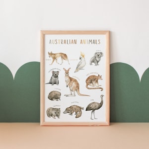 Cartel de animales australianos / Cartel educativo / Decoración del aula / Preescolar imprimible / Decoración de la habitación para niños pequeños / Descarga digital