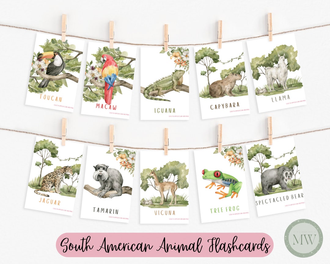 Printable Animal Flashcards | Wild Animals Flashcards | Kids Flashcards ...