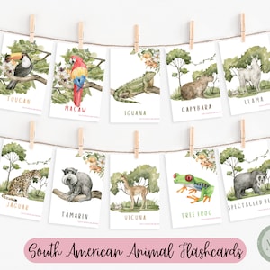 Printable Animal Flashcards | Wild Animals Flashcards | Kids Flashcards | Preschool Printable | Homeschool Printable | Montessori Printable