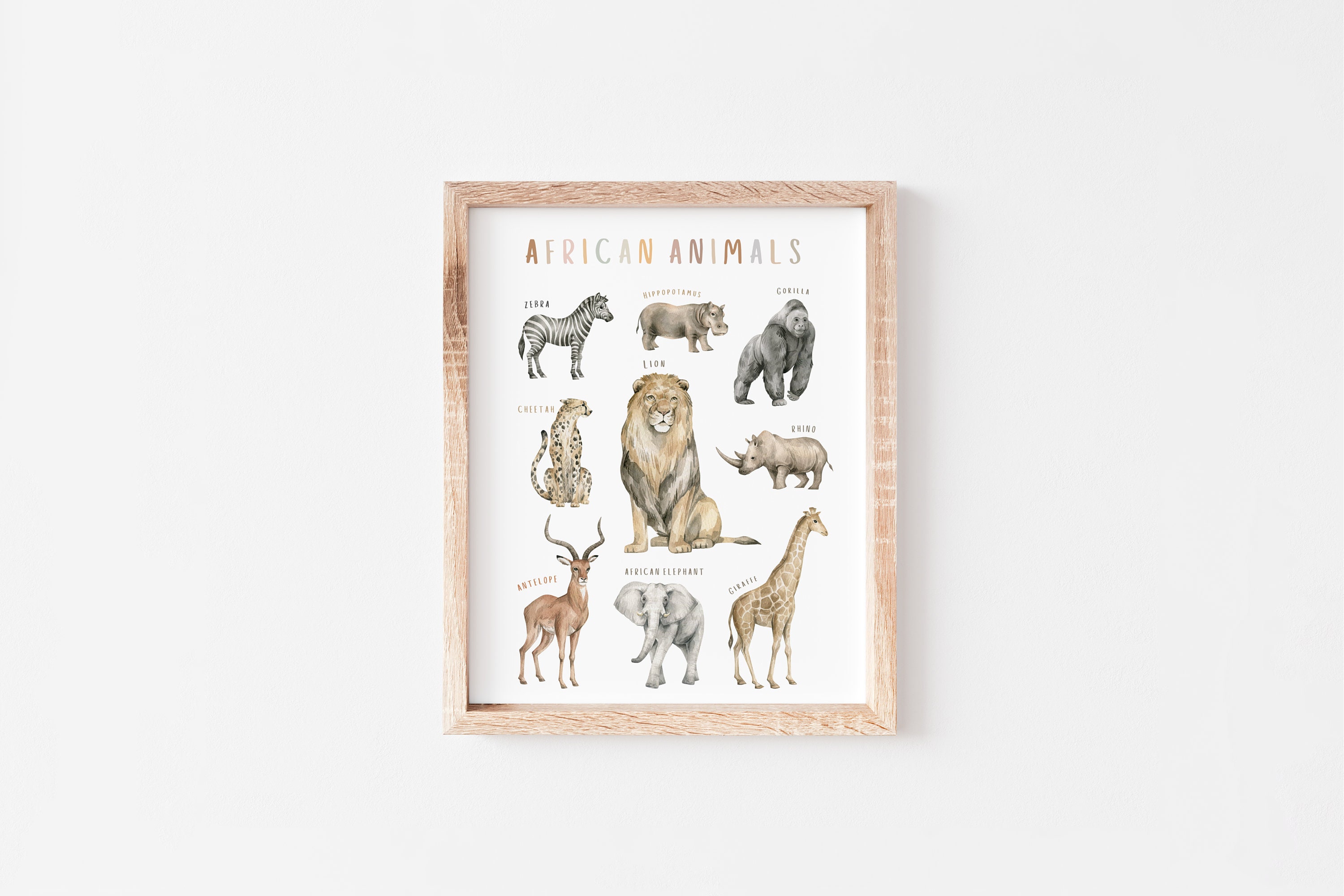 African Animals Poster Educational Poster Classroom Decor Preschool ...