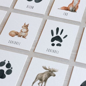 56 Printable Animal Flashcards | Animals and animal tracks matching cards | Montessori Activity | Preschool Activity| Digital Download