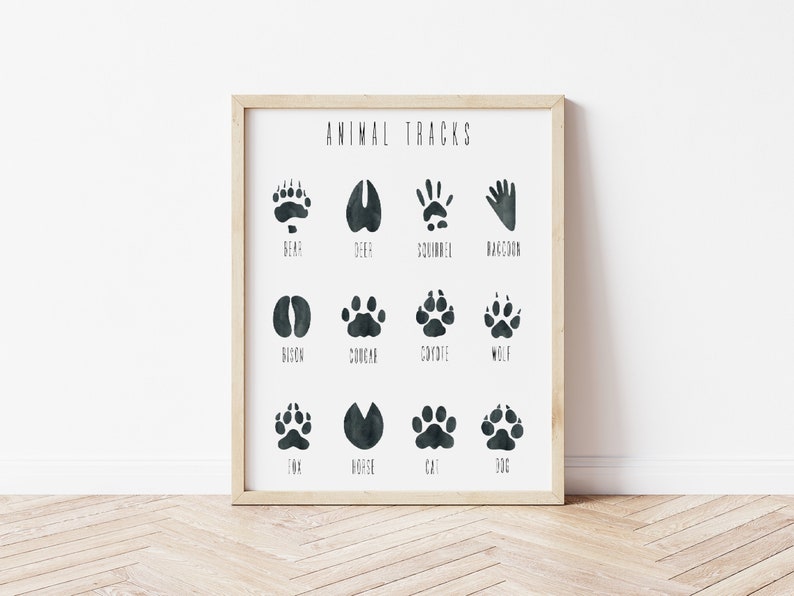 Animal Tracks Poster Woodland Poster Montessori Posters Educational Poster Classroom Decor Toddler Room Decor Digital Download image 2