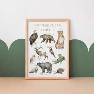 Cartel de animales de América del Norte / Cartel educativo / Decoración del aula / Recursos de educación en el hogar / Decoración de la habitación para niños pequeños / Descarga digital