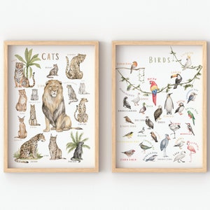 Conjunto de 2 carteles educativos / carteles de animales / carteles para niños pequeños / arte de pared de guardería neutral / decoración de aula / descarga digital