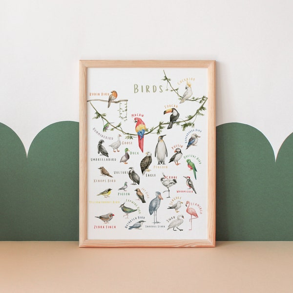 Birds Poster | Educational Poster | Safari Nursery Wall Art | Montessori Poster | Playroom Wall Art | Classroom Decor | Digital Download