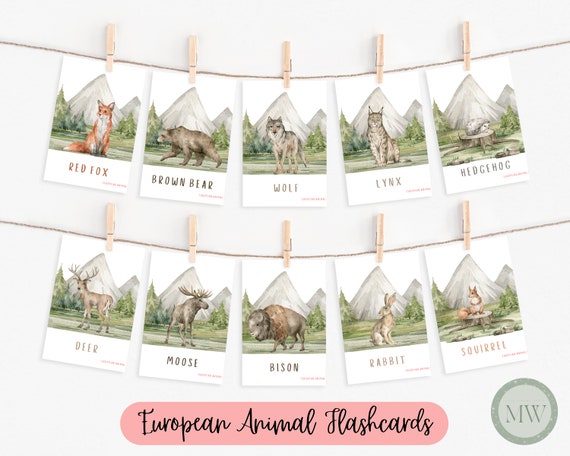 Printable Animal Flashcards | Educational Flashcards | Kids Flashcards | Preschool Printable Flashcards | Homeschool Flashcards