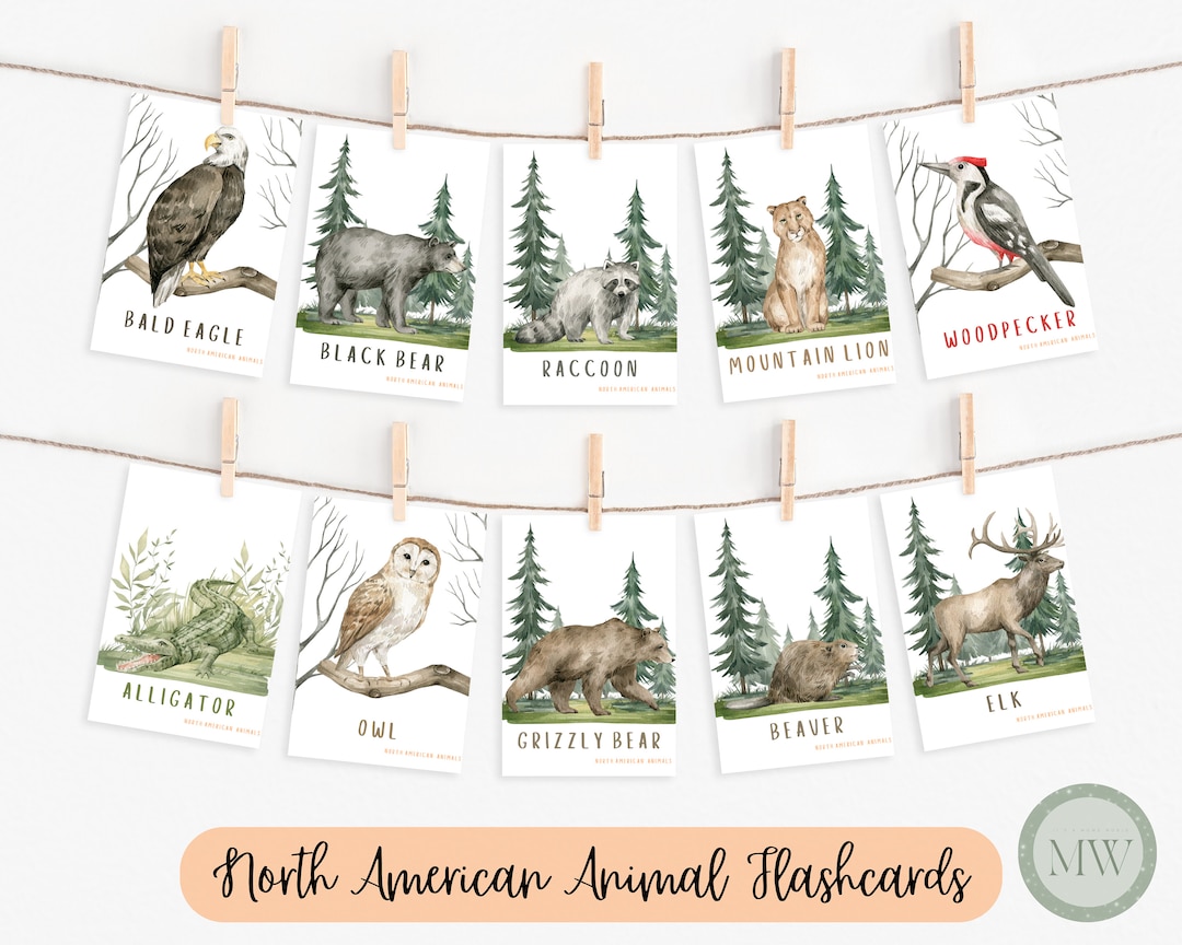 Printable Animal Flashcards | Educational Flashcards for Kids ...
