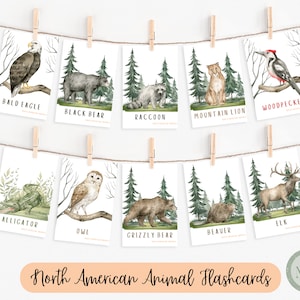 Printable Animal Flashcards | Educational Flashcards for Kids | Preschool Printable | Homeschool Printable