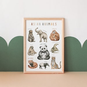 Aziatische dierenposter | Educatieve poster | Klaslokaaldecoratie | Voorschoolse afdrukbare | Decor voor peuterkamers | Digitaal downloaden