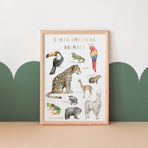 South American Animals Poster | Educational Poster | Classroom Decor | Homeschooling resources | Toddler Room Decor | Digital Download