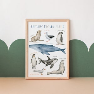 Cartel de animales antárticos / Cartel educativo / Decoración del aula / Recursos de educación en el hogar / Decoración de la habitación para niños pequeños / Descarga digital
