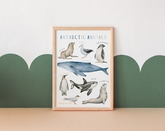 Antarctic Animals Poster | Educational Poster | Classroom Decor | Homeschooling resources | Toddler Room Decor | Digital Download