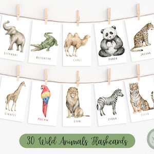 30 dierenflitskaarten | Wilde dieren | Flashcards voor peuters | Montessori-flitskaarten | Klaar om Flash-kaarten af te drukken | Digitaal downloaden