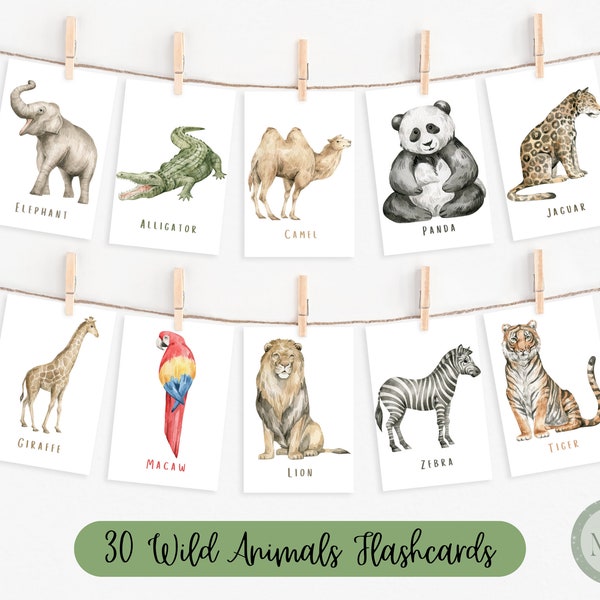 30 Animal Flashcards | Wild Animals | Toddler Flashcards | Montessori Flashcards | Ready to Print Flash Cards | Digital Download