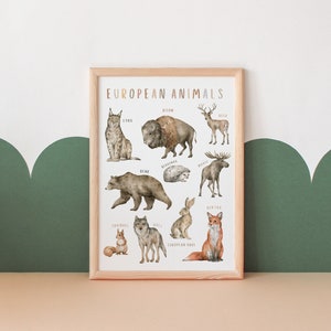 Pôster europeu dos animais | Pôster Educacional | Decoração de sala de aula | Pré-escola para impressão | Decoração de quarto infantil | Download digital