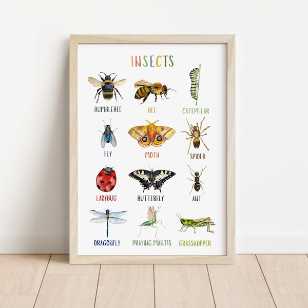 Insects Poster | Educational Poster | Classroom Decor | Preschool Printable | Kids Spring Printable | Toddler Room Decor | Digital Download