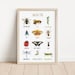 see more listings in the Educational Posters section