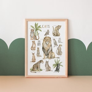 Cartel de gatos / Cartel educativo / Arte de pared de sala de juegos / Cartel de animales / Decoración de aula / Decoración de escuela en casa / Descarga digital