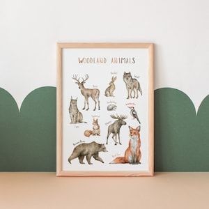 Cartel de animales del bosque / Cartel educativo / Cartel Montessori / Arte de la pared de la sala de juegos / Vivero del bosque / Descarga digital