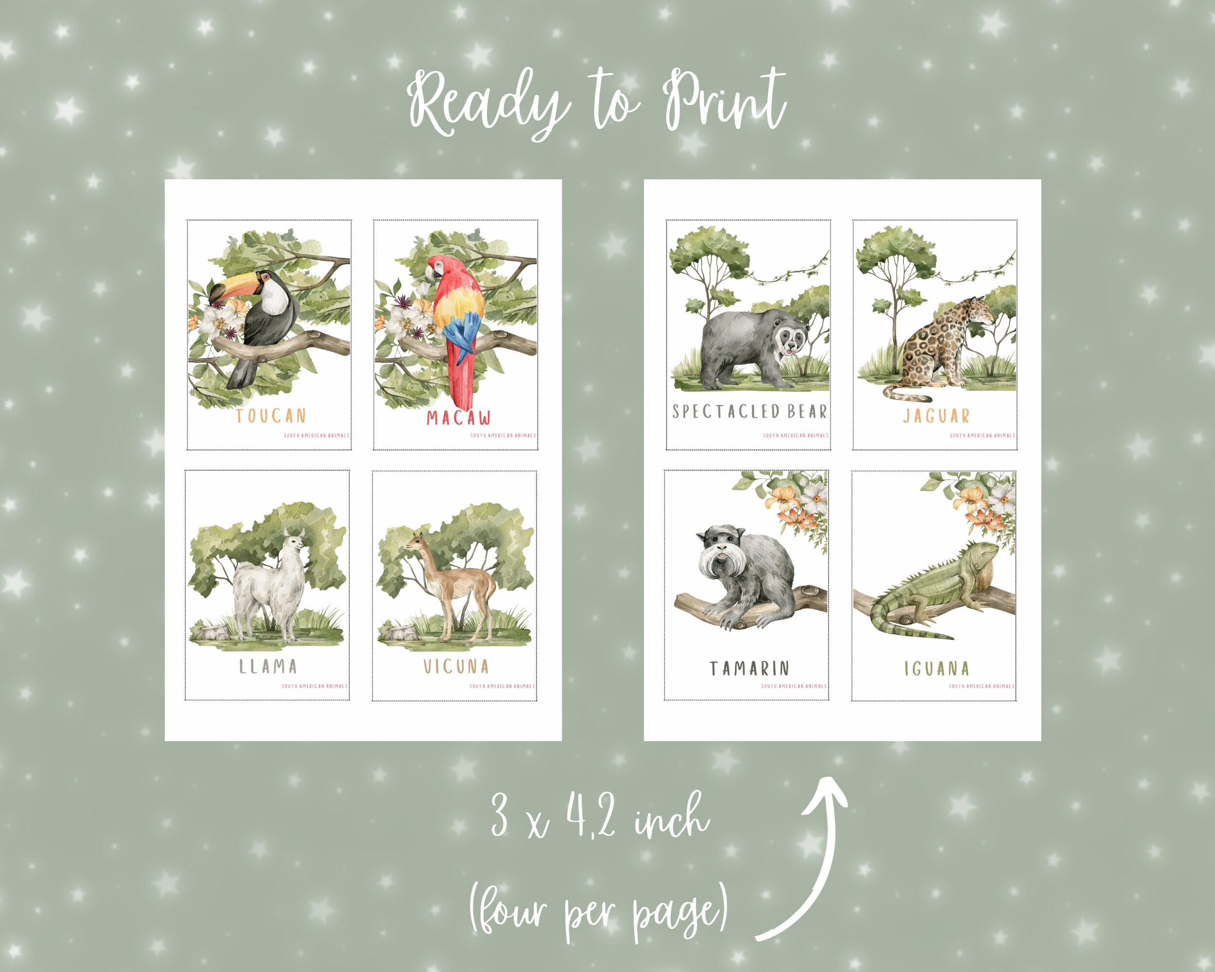 Printable Animal Flashcards Wild Animals Flashcards Kids Flashcards ...