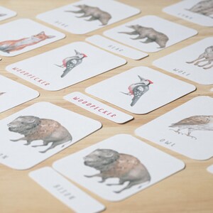 10 Waldtiere Karteikarten für Kinder | Montessori Karteikarten | Wilde Tiere Karteikarten | Edukativer Digitaler Download