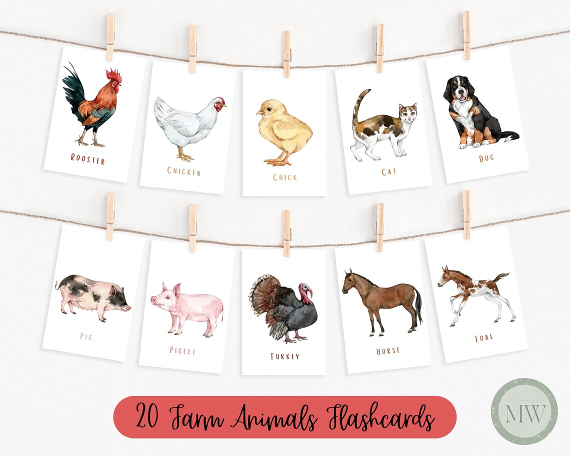 20 Farm Animals Flashcards Domestic Animals Toddler - Etsy