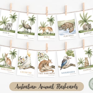 Printable Animal Flashcards | Montessori Flashcards | Kids Flashcards | Preschool Printable Flashcards | Homeschool Flashcards
