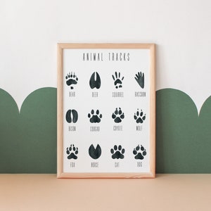 Animal Tracks Poster Woodland Poster Montessori Posters Educational Poster Classroom Decor Toddler Room Decor Digital Download image 1