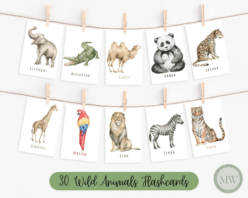 Animal Flashcards Wild Animals Poster Domestic Animals Etsy