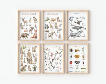 Conjunto de 6 carteles educativos / cartel de animales salvajes / cartel de animales del bosque / arte de pared para niños / descarga digital