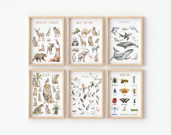 Set of 6 Educational Posters | Wilds Animals Poster | Woodland Animals Poster | Kids Wall Art | Digital Download